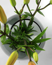 Carica l'immagine nel visualizzatore di Gallery, Vaso in vetro tondo fumè liscio Ø20