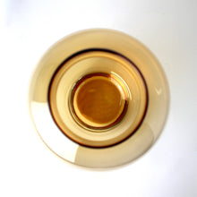 Carica l'immagine nel visualizzatore di Gallery, Vaso in vetro bulbo marrone tortora