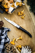 Carica l'immagine nel visualizzatore di Gallery, Coltello a serramanico Laguiole Black Ebony