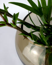 Carica l'immagine nel visualizzatore di Gallery, Vaso in vetro tondo liscio ambra Ø20