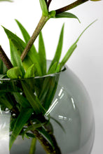 Carica l'immagine nel visualizzatore di Gallery, Vaso in vetro tondo fumè liscio Ø20