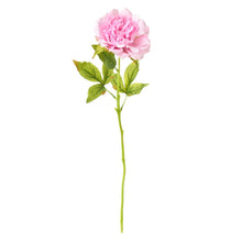 Carica l'immagine nel visualizzatore di Gallery, Peonia real touch rosa/viola Nuvole di Stoffa