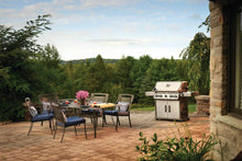 Carica l'immagine nel visualizzatore di Gallery, Barbecue a gas NAPOLEON ROGUE RSE625RSIB inox