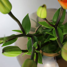 Carica l'immagine nel visualizzatore di Gallery, Vaso in vetro ondulato tondo ambra Ø20