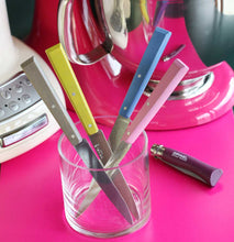 Carica l'immagine nel visualizzatore di Gallery, Cofanetto 4 coltelli da tavola OPINEL Bon Appetit Campagna