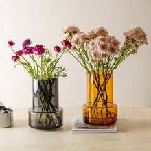 Carica l'immagine nel visualizzatore di Gallery, Vaso in vetro YL12 design moderno sobrio stile retro colore fumè