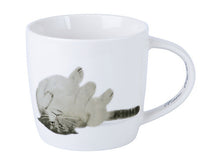 Carica l'immagine nel visualizzatore di Gallery, Tazza Marc Martin Feline Friends 400ml - Upside Down Cat