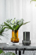 Carica l'immagine nel visualizzatore di Gallery, Vaso in vetro YL12 design moderno sobrio stile retro colore Ambra