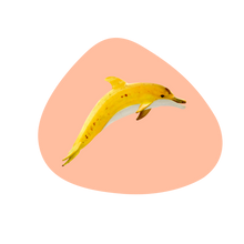 Carica l'immagine nel visualizzatore di Gallery, Tovaglietta pvc double face WD Lifestyle Delfino