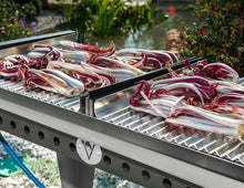 Carica l'immagine nel visualizzatore di Gallery, Barbecue a gas Vulcano Fire mod. Medio