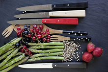 Carica l'immagine nel visualizzatore di Gallery, Cofanetto 4 coltelli da tavola OPINEL Bon Appetit Loft