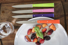 Carica l'immagine nel visualizzatore di Gallery, Cofanetto 4 coltelli da tavola OPINEL Bon Appetit Pop