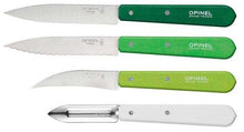 Carica l'immagine nel visualizzatore di Gallery, Cofanetto 4 coltelli da cucina OPINEL Les Essentiels Primavera