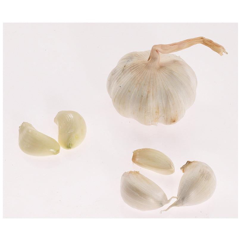 Kit Parapolvere Ammortizzatore SACHS 900 136 Per Volkswagen Rabbit V (2003-2010) - Assale Anteriore | Ricambio Auto Originale - Foto 2