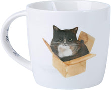 Carica l&#39;immagine nel visualizzatore di Gallery, Tazza Marc Martin Feline Friends 400ml - Cat in a Box
