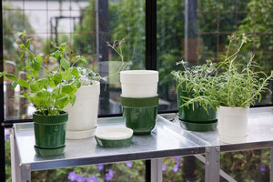 Vaso per erbe aromatiche con sottovaso Ø11 Sagaform Elise Green