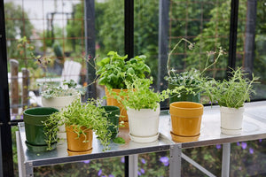Vaso per erbe aromatiche con sottovaso Ø11 Sagaform Elise Green