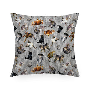 Cuscino chevron velluto 48x48 Greg Cats grigio