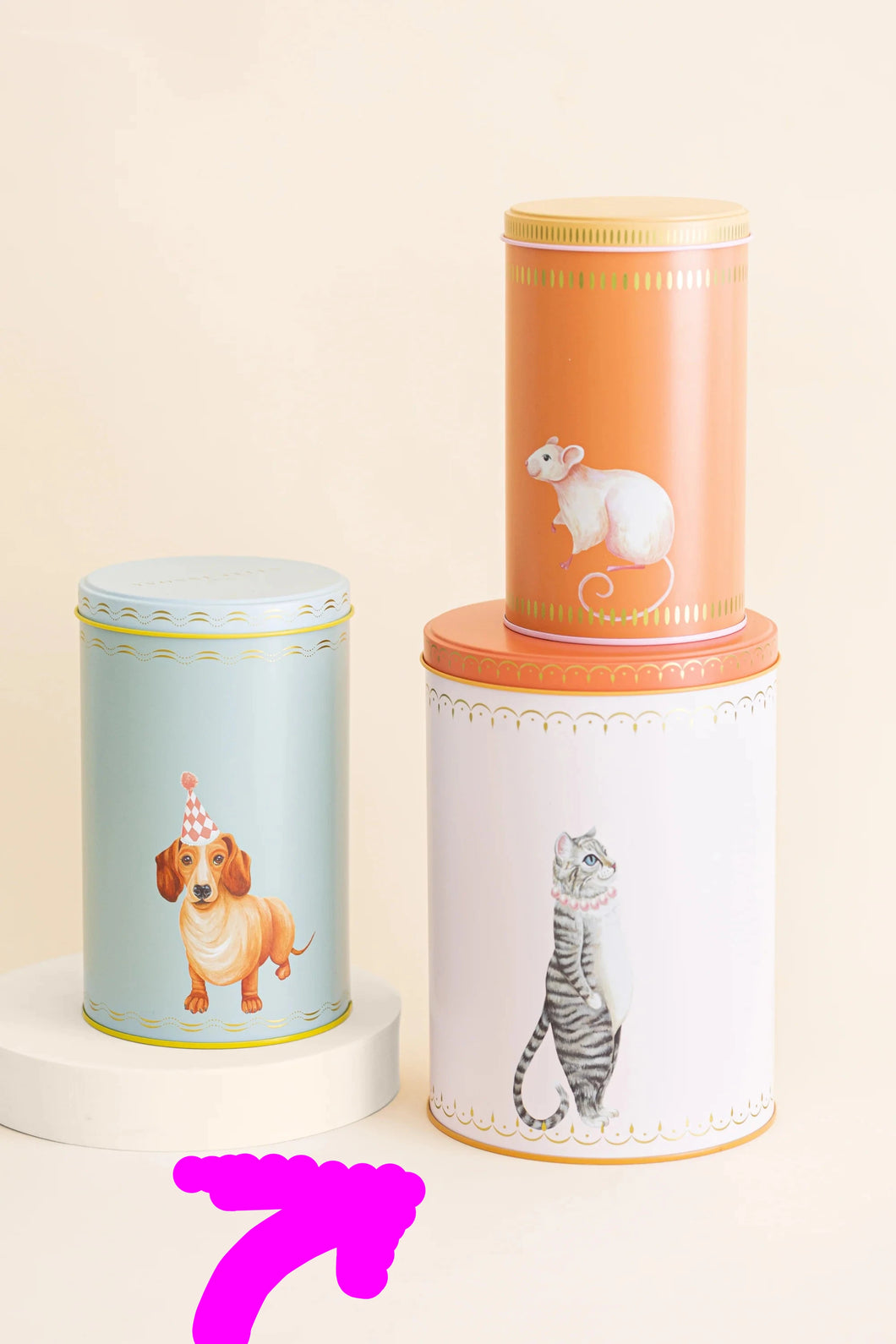 Scatola di latta barattolo PINK CAT Yvonne Ellen