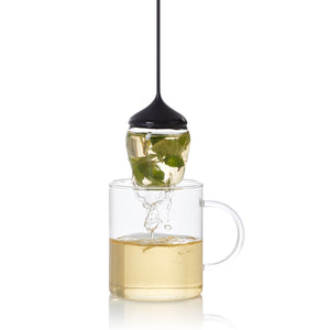 Infusore AdHoc Fusion vetro