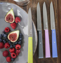 Carica l&#39;immagine nel visualizzatore di Gallery, Cofanetto 4 coltelli da tavola OPINEL Bon Appetit Campagna
