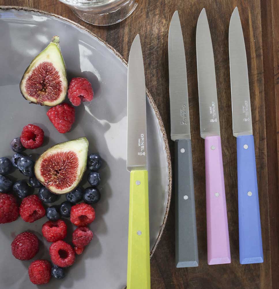 Cofanetto 4 coltelli da tavola OPINEL Bon Appetit Campagna