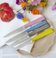 Carica l&#39;immagine nel visualizzatore di Gallery, Cofanetto 4 coltelli da tavola OPINEL Bon Appetit Campagna

