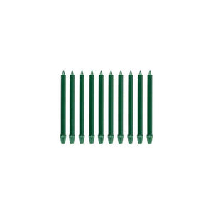 Confezione 10 candele Sherwood 25cm Evergreen