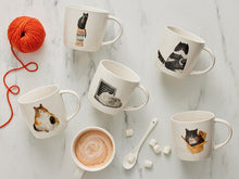 Carica l&#39;immagine nel visualizzatore di Gallery, Tazza Marc Martin Feline Friends 400ml - Cat in a Box
