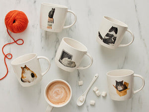 Tazza Marc Martin Feline Friends 400ml - Cat in a Box