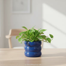 Carica l'immagine nel visualizzatore di Gallery, Portavaso tondo Ø13,8 Blu
