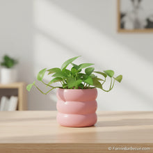 Carica l'immagine nel visualizzatore di Gallery, Portavaso tondo Ø13,8 Rosa
