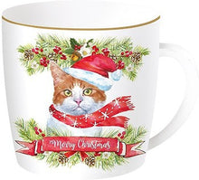 Carica l&#39;immagine nel visualizzatore di Gallery, Tazza porcellana in scatola di metallo Christmas Cats 1
