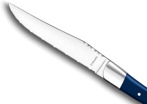 Cofanetto 6 coltelli da bistecca AMEFA blu