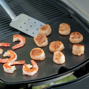 Piastra in ghisa per WEBER Q serie 300/3000