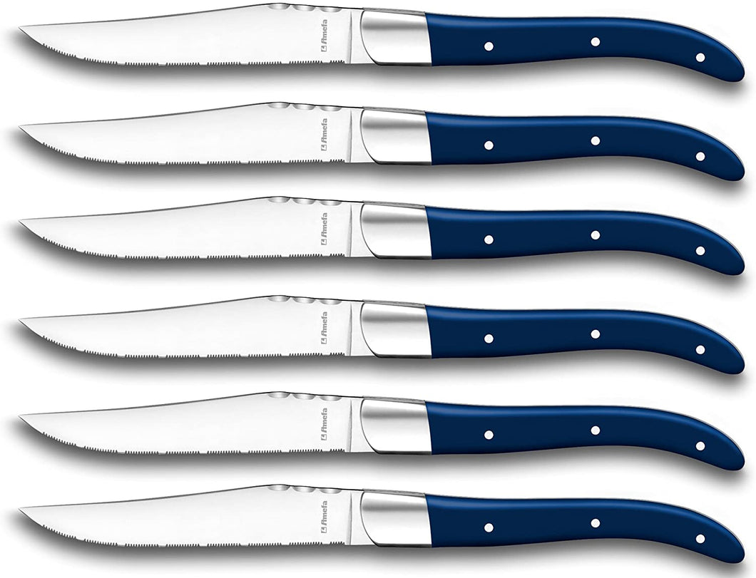 Cofanetto 6 coltelli da bistecca AMEFA blu
