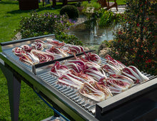 Carica l&#39;immagine nel visualizzatore di Gallery, Barbecue a gas Vulcano Fire mod. Grande
