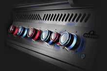 Carica l&#39;immagine nel visualizzatore di Gallery, Barbecue a gas  incasso Napoleon BUILT-IN 700 SERIES 38 RB
