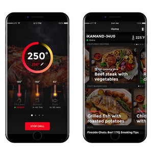 Dispositivo Intelligente di Controllo e monitoraggio della Temperatura IKamand Kamado Joe serie Classic Joe