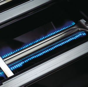 Barbecue a GAS BROIL KING GEM 310