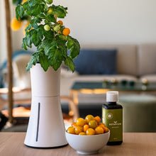 Carica l&#39;immagine nel visualizzatore di Gallery, Botanium flacone nutrienti 300ml
