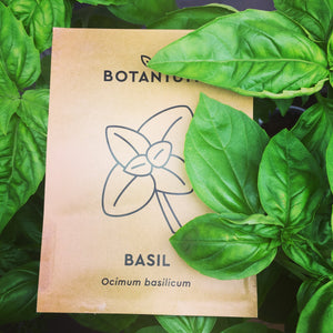 Semi Botanium Basilico "Mooskrause 2"