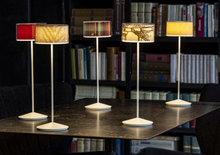 Carica l&#39;immagine nel visualizzatore di Gallery, Lampada led Personalizzabile portatile ricaricabile AB+ LOGO
