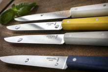 Carica l&#39;immagine nel visualizzatore di Gallery, Cofanetto 4 coltelli da tavola OPINEL Bon Appetit Celeste
