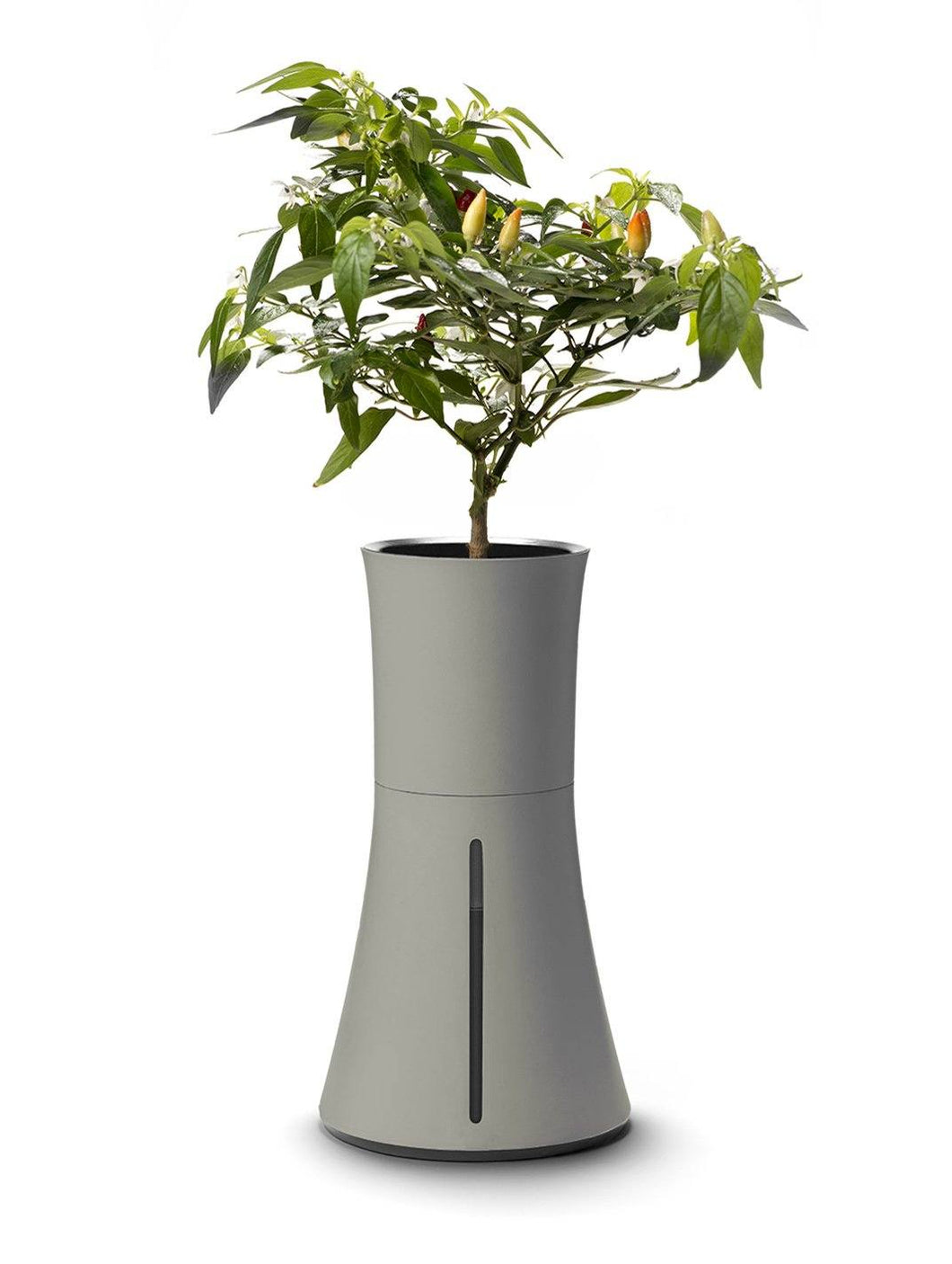 Kit di coltivazione idroponica Botanium -Prezzo Outlet