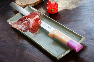 Coltello per prosciutto e carpaccio cm.30 OPINEL 123 PARALLELE POP