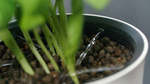 Kit di coltivazione idroponica Botanium