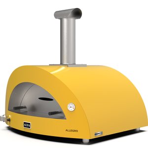 Forno ibrido a Gas/legna ALFA MODERNO 5 PIZZE