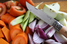 Carica l&#39;immagine nel visualizzatore di Gallery, Coltello a serramanico OPINEL N°10 lama inox - PREZZO OUTLET -
