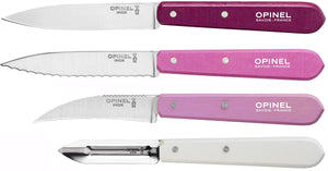 Cofanetto 4 coltelli da cucina OPINEL Les Essentiels Primarosa